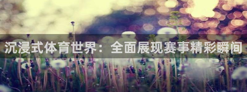 nba在线直播观看直播说球帝：沉浸式体育世界：全面展现赛事精彩瞬间