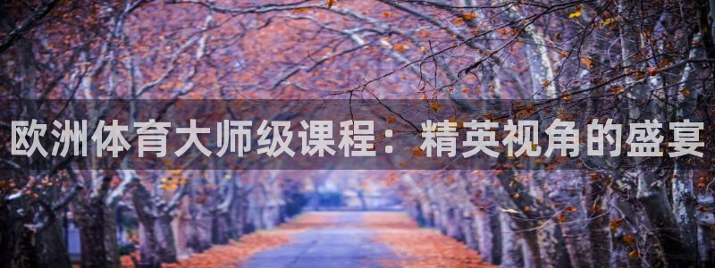 说球帝在线观看nba免费直播：欧洲体育大师级课程：精英视角的盛宴