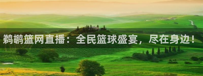 wnba直播免费观看说球帝：鹈鹕篮网直播：全民篮球盛宴，尽在身边！