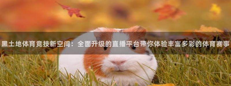 说球帝在线观看nba免费直播：黑土地体育竞技新空间：全面升级的直播平台带你体验丰富多彩的体育赛事