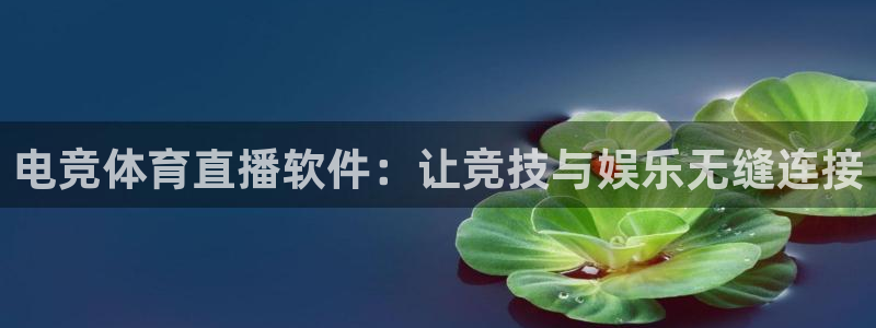 nba在线直播免费观看直播说球帝：电竞体育直播软件：让竞技与娱乐无缝连接