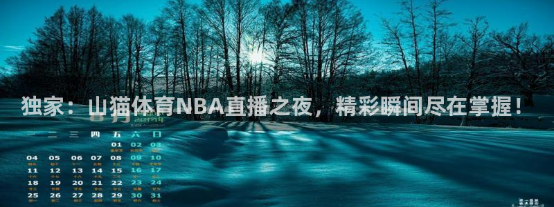 说球帝直播在线观看免费：独家：山猫体育NBA直播之夜，精彩瞬间尽在掌握！