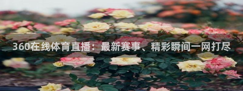 nba直播在线观看说球帝：360在线体育直播：最新赛事、精彩瞬间一网打尽