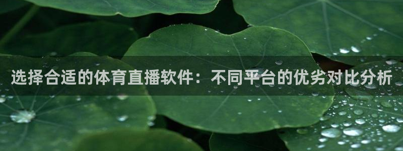说球帝nba在线直播免费观看直播