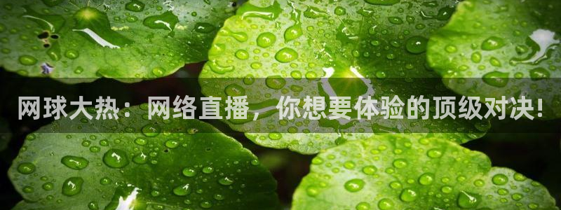 说球帝直播在线观看高清免费：网球大热：网络直播，你想要体验的顶级对决!
