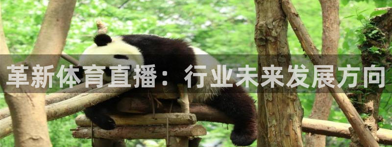 wnba直播免费观看说球帝：革新体育直播：行业未来发展方向